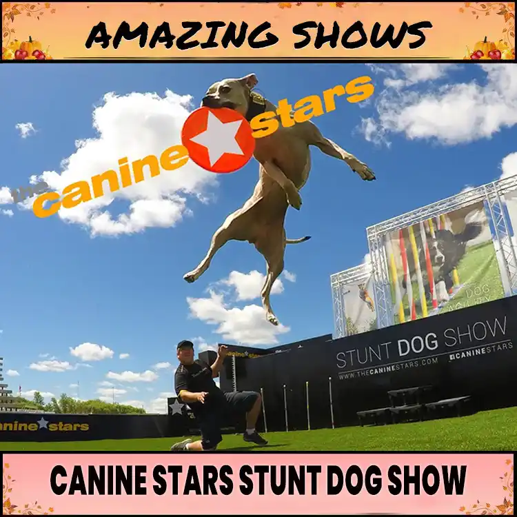 FF - Canine Starts Stunt Dog Show